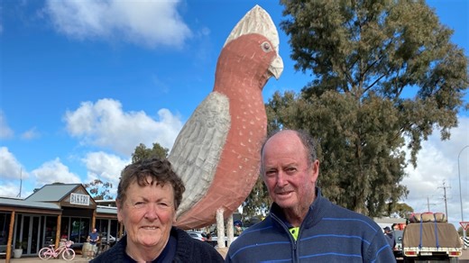 The Big Galah is getting a facelift, but simply building the Kimba icon was no laughing matter