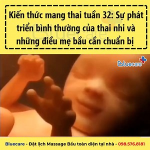 Kiến thức mang thai tuần 32: Sự phát triển bình thường của thai nhi và những điều mẹ bầu cần chuẩn bị #thainhi #landaulamme #babau #mangthai #mebau #mebauthongthai #mangbau #kienthucmangthai #kienthuclamme | THAI GIÁO Thai Nhi & Mẹ Bầu