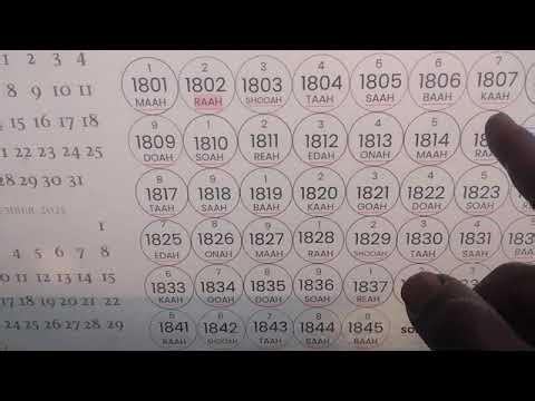 Crypto shit shower update