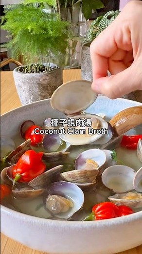 高調示範簡單靚湯🍲🍲清甜椰子蜆肉湯。初初聞到冬陰功香味，飲落少少酸，超級甜，三個字（15分鐘）煲好，好好味！ #懶鬼煮嘢食 #椰子 #clams #seafood #soup