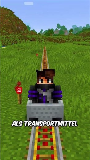 So überspringst du die 4 Sekunden Nether-Portal Wartezeit