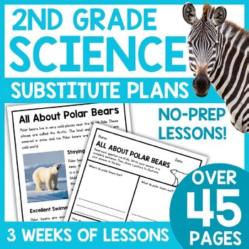 2nd Grade Science Sub Plans | No Prep Emergency Sub Tub Binder Plans Worksheets