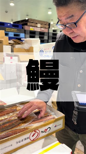 うなぎの美味しい食べ方｜豊洲市場のお魚を家庭へ