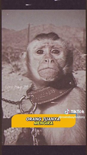 Kisah nyata dari Dora The Explorer yang jauh lebih gelap dari cerita anak-anak. #AnalogHorror #CeritaKelam #KisahNyataMisteri #TragediMisterius #FaktaKelam