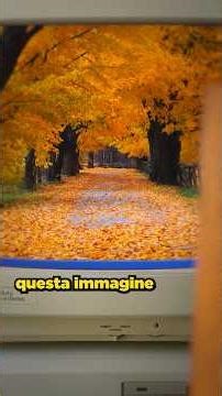 NESSUNO sa da dove viene questa IMMAGINE