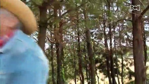 Sortilegio  Capítulo 14 HD - Raquel se acerca a Alejandro y lo seduce