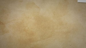 Understanding Hedgehog Temperament: A Comprehensive Guide