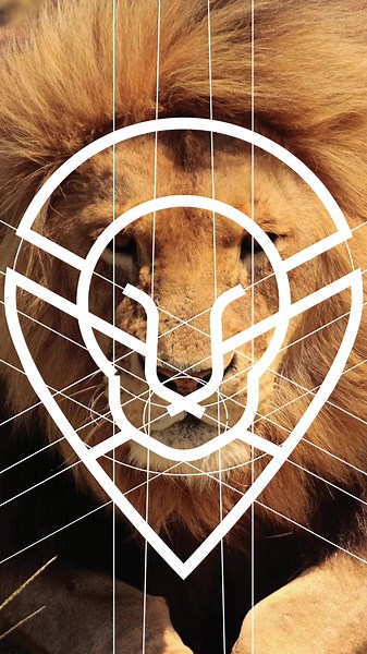 Creative Lion Logo Design for Cars