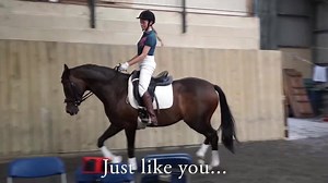 581 reactions · 76 shares | Mary Wanless BHSI BSc teaches 'On The Bit - The Seeking Reflexes' in her best selling online course! 20% Off Site Wide - Click Learn More... | DressageTraining.TV | Facebook