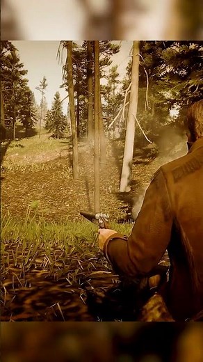 Hunted by Wolves in the Wild! 🐺🔥 #rdr2 #gamingshorts #gaming