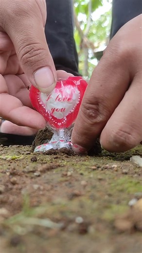 It's really unexpected 😱 it turns out that centipedes like this love candy, friend #millipede #short