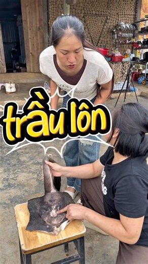 chạy quảng cáo song dính tác dụng phụ.#nhangheonhagiau