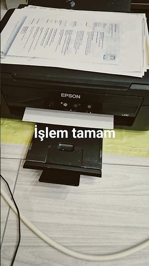 Epson L210