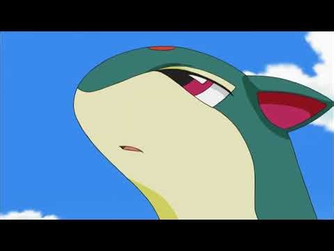 Ash’s Cyndaquil Evolves into Quilava! 🔥