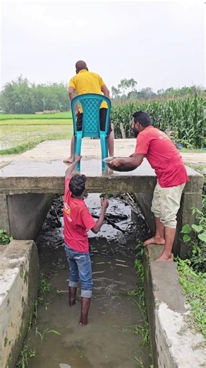 Remove the chair from the back and water