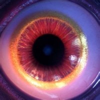 Nathan Love | LinkedIn