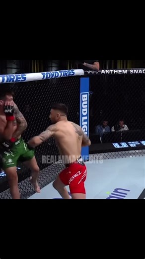 Top 5 Flyweights in UFC: Rankings and Highlights