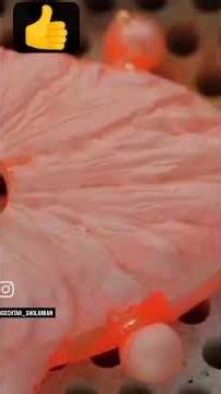 آموزش ساخت قفل دستبند #دحمان #crystals #سنگبازی #love #نزهه #انگشتر_مردانه #ترند #duet #سنگ