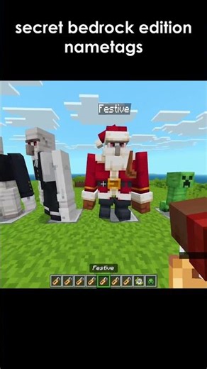 Secret Nametags in Minecraft Bedrock
