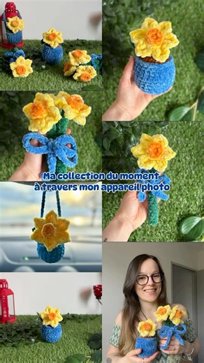 Ma collection actuelle à travers mon appareil photo 🌼