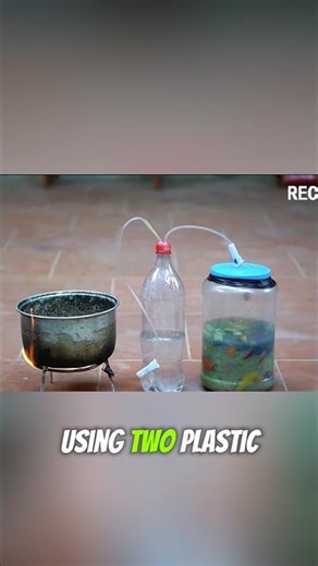 Simple Bottle Biogas Setup You Can Try at Home😯