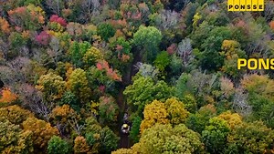 5K views · 54 reactions | Ponsse Customer Stories! Modern Logging from New York. #loggers #newyork #aloggerslife #aloggersbestfriend | Ponsse North America | Facebook