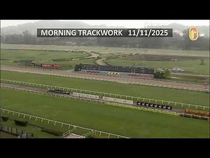 Track Work - Cam 1 (11/11/2025)
