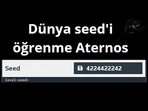 Aternos Minecraft sunucusunda dünya seed'i nasıl öğrenilir - tam rehber