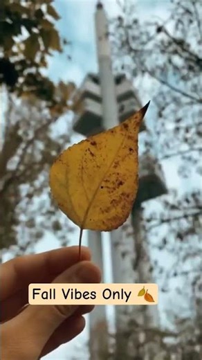 “Aesthetic Autumn Vibes 🍂 | Relaxing Fall Mood | Cozy Aesthetic Video”