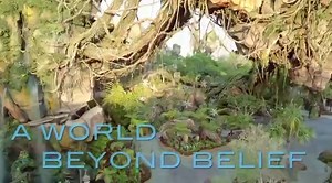 29K views · 469 reactions | 4 years already? Time flies when you're having fun. Happy 4th Anniversary to Pandora — The World of Avatar at Disney's Animal Kingdom! | Avatar | Facebook