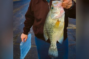 Kansas White Crappie Record Broken With 'Catch of a Lifetime'