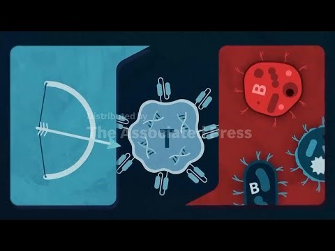 How CAR-T therapy works against autoimmune diseases - ANIMATION