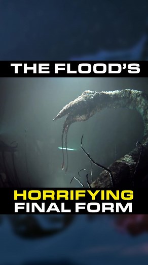 Unveiling the Terrifying Final Evolution of the Flood in Halo