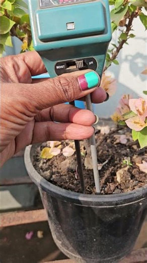 How to use pH Meter? #oxygengardencorner #gardening #phmeter #phmeterworking ##gardeningtools