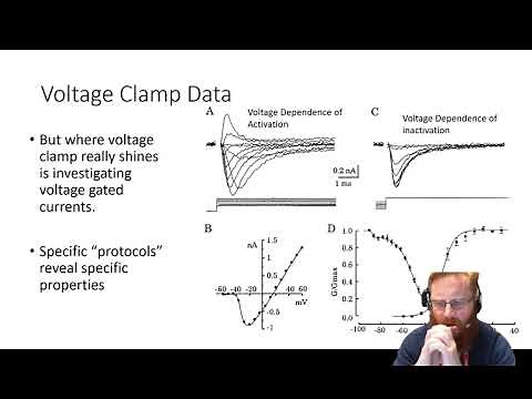 Electrophysiology 7 - Interpretation of Intracellular data