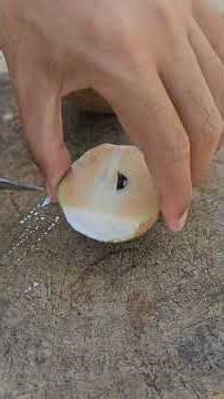 Sapodilla fruit | sapodilla benefits