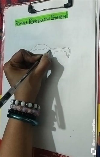 how to draw female reproductive system easy way (2D)#shorts #pseb#boardexam #class10 #cbsel