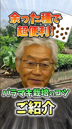 家庭菜園や農園の秋冬野菜栽培で種のばらまき栽培の秘訣！種を無駄なく使うコツと秋冬野菜の育て方！【農家直伝】#shorts