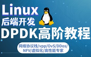 Linux C/C++后台开发|【DPDK高阶教程全套分享】|网络协议栈|千万级流量并发|dpdk底层原理|tcp/ip|技术栈存储|