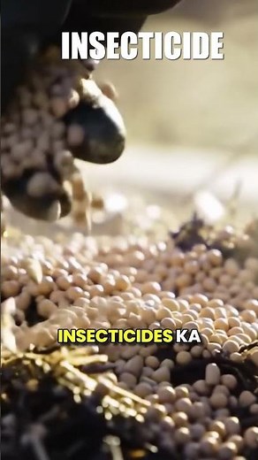 Fungicide, Insecticide, Rhizobium: What Farmers Are Missing #farming #agriculture #soilhealth