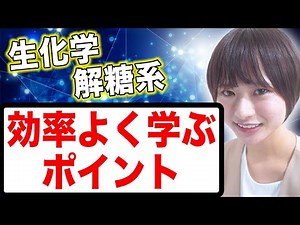 【生化学】生化学の解糖系を効率よく学ぶポイント（医学生・医療系学生向け）