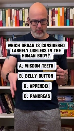 Which organ is considered mostly useless human body?