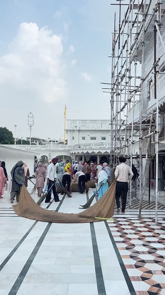 Nishkaam Seva at Golden Temple Amritsar | Sri Harmandir Sahib ✨ #goldentemple #amritsar #shorts