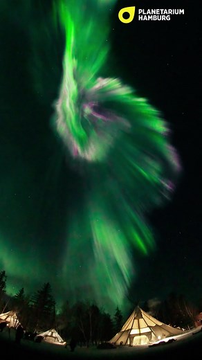 Erlebt spektakuläre 360-Grad Aufnahmen von faszinierende Polarlichtern in unserer Show AURORA – IM REICH DES POLARLICHTS. Wie entstehen Polarlichter? In welchen Formen und Farben treten sie auf? Und wo kann man sie am besten selbst beobachten? Erkundet gemeinsam mit uns diese farbenprächtigen Naturphänomene! | Planetarium Hamburg