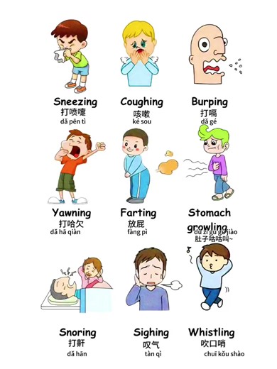 常用中文词汇#汉语 #Chinese #mandarin #学中文 #中文