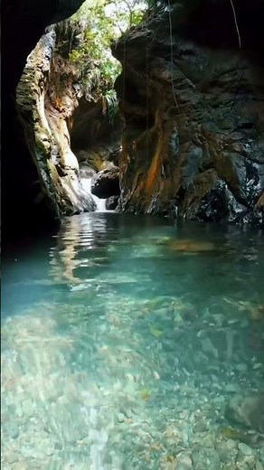 You Need to Experience This in Puerto Rico! 👀🇵🇷