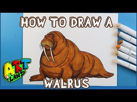 How to Draw a WALRUS!!!