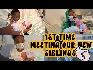 VLOGMAS: DAY 14 | LAB KIDZ MEET THE TWINZZ