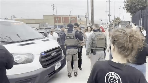 Union president among 44 arrested in Los Angeles ICE raids