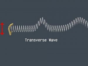 Creating a Transverse Wave